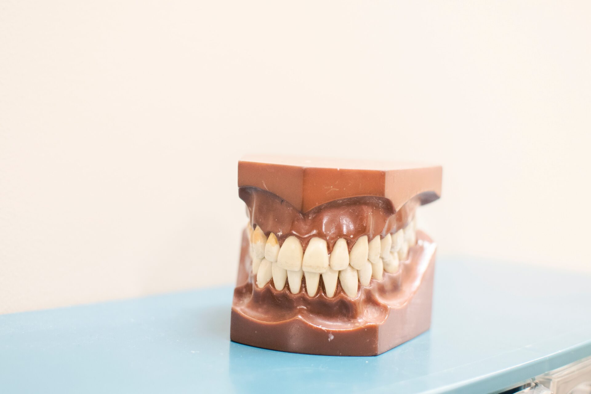 fake-teeth-model