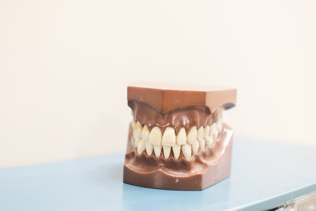 a denture model on a baby blue surface
